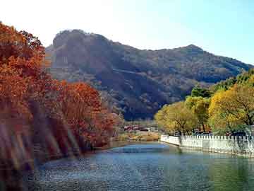 澳门二四六天天彩图库，姜云峰